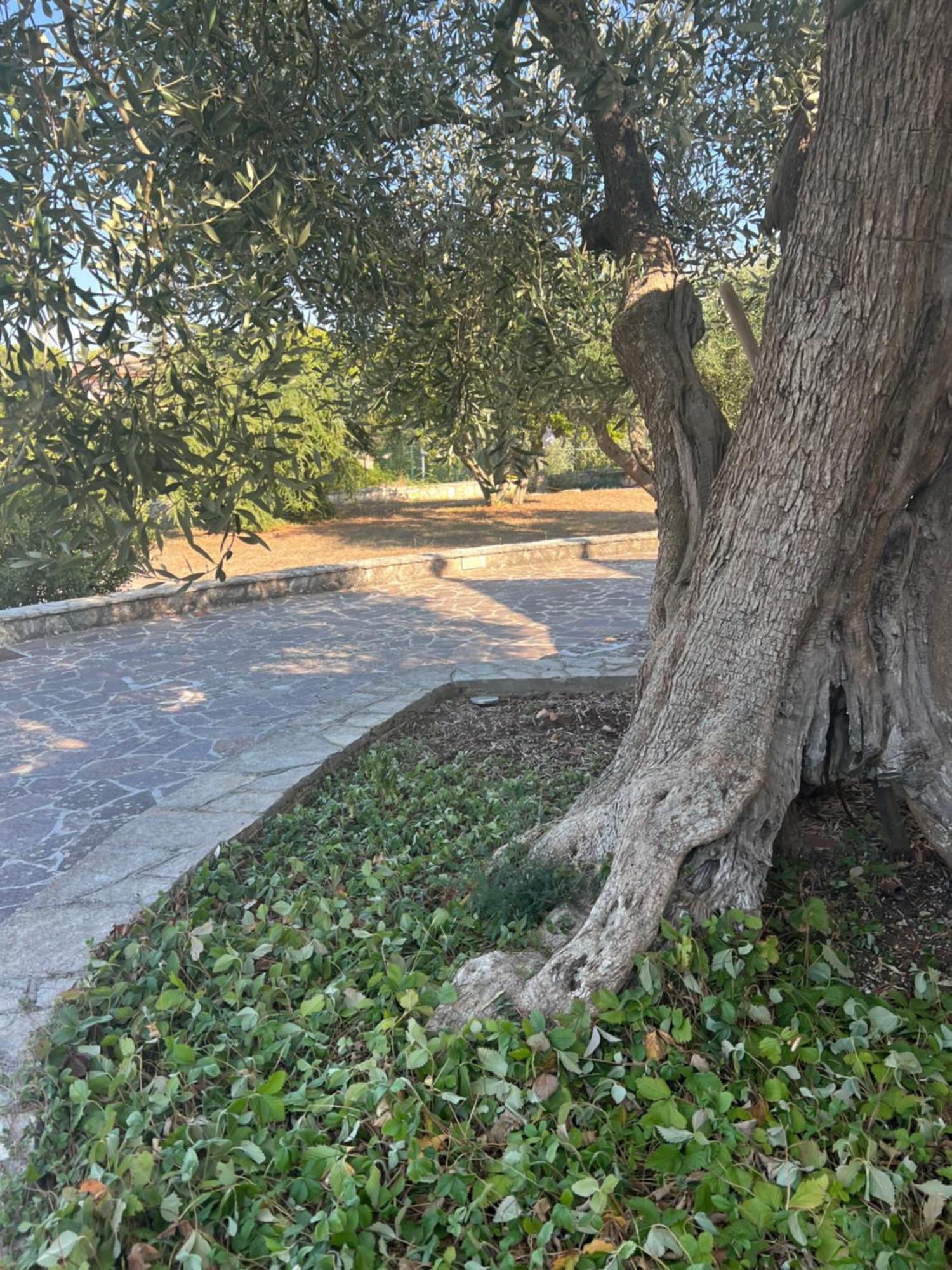 诺西I Trulli Di Eva公寓 外观 照片